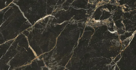 P70667