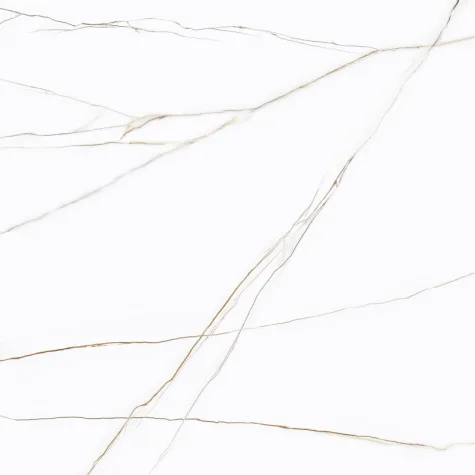 P71012